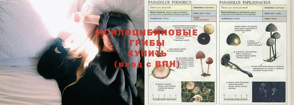 прущая мука Балабаново