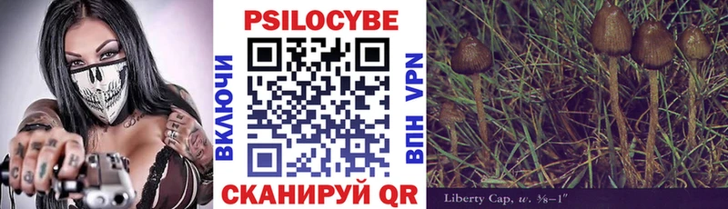 Псилоцибиновые грибы Magic Shrooms  ОМГ ОМГ ТОР  Задонск  закладки 